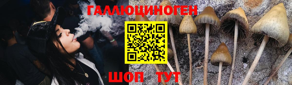 Галлюциногенные грибы Magic Shrooms  Вход с VPN  Семёнов 